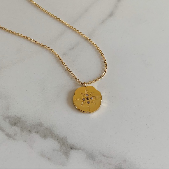 Polaris necklace, Polaris pendant necklace, coin pendant necklace - Picture 4 of 5